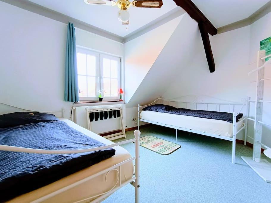 Ruhiges Exzellenz-Appartement Diana Im Elb-Urstromtal - Fast Wlan, Good For Long-Terms بليكيد المظهر الخارجي الصورة