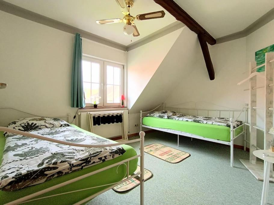 Ruhiges Exzellenz-Appartement Diana Im Elb-Urstromtal - Fast Wlan, Good For Long-Terms بليكيد المظهر الخارجي الصورة